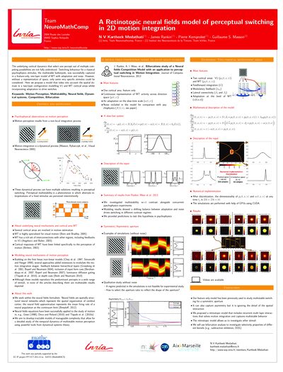 Poster: A retinotopic neural fields model of perceptual switching in 2D motion integration