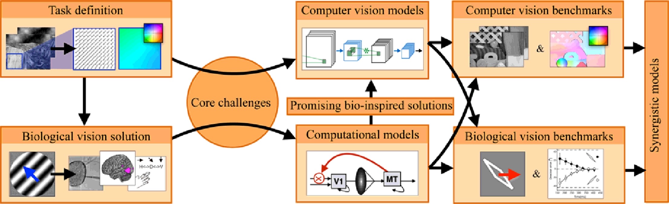 Bio-inspired computer vision: Towards a synergistic approach of artificial and biological vision