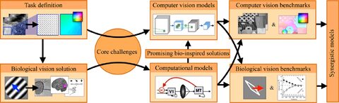 Figure from: Bio-inspired computer vision: Towards a synergistic approach of artificial and biological vision