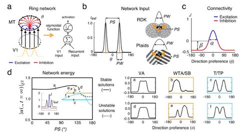 Figure from: Recurrent network dynamics reconciles visual motion segmentation and integration.